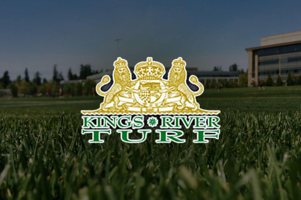 portfolio digital attic kings river turf thumbnail