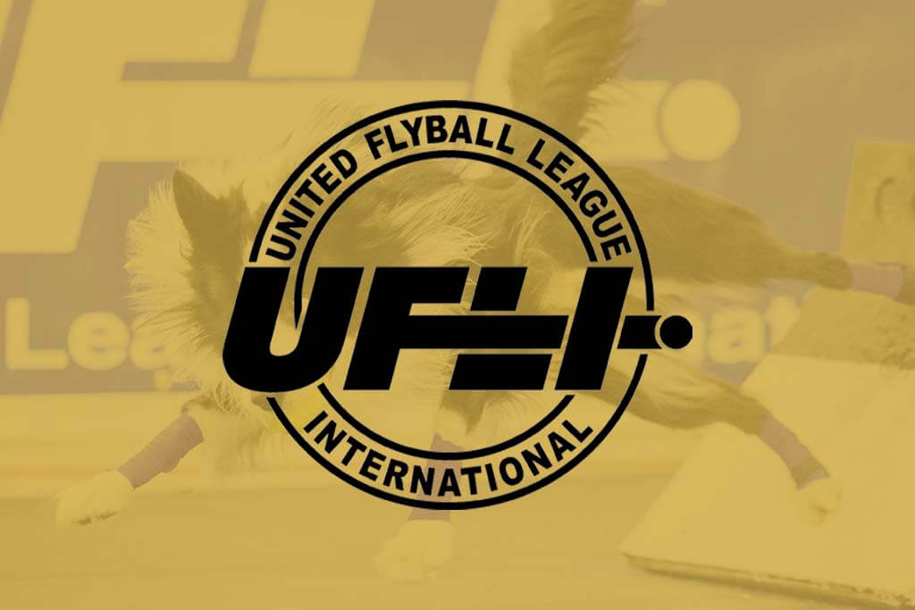 portfolio digital attic united flyball league featured thumbnail