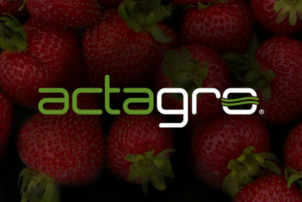 portfolio digital attic actagro featured thumbnail