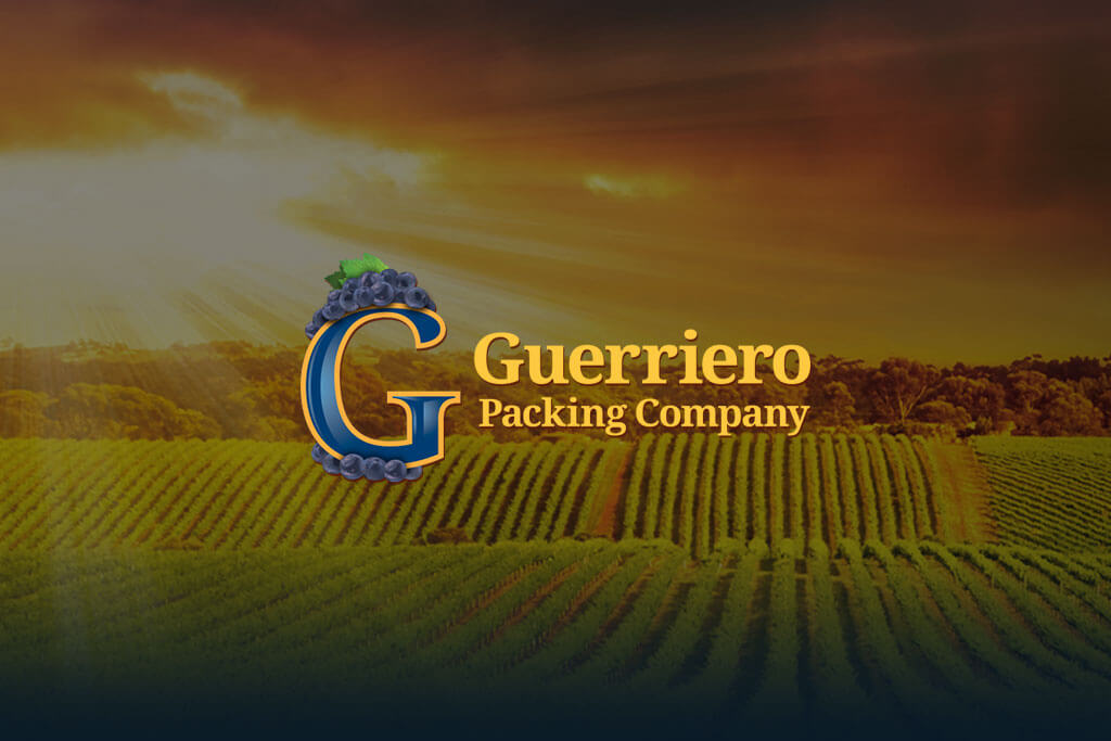 portfolio digital attic guerriero packing company featured image