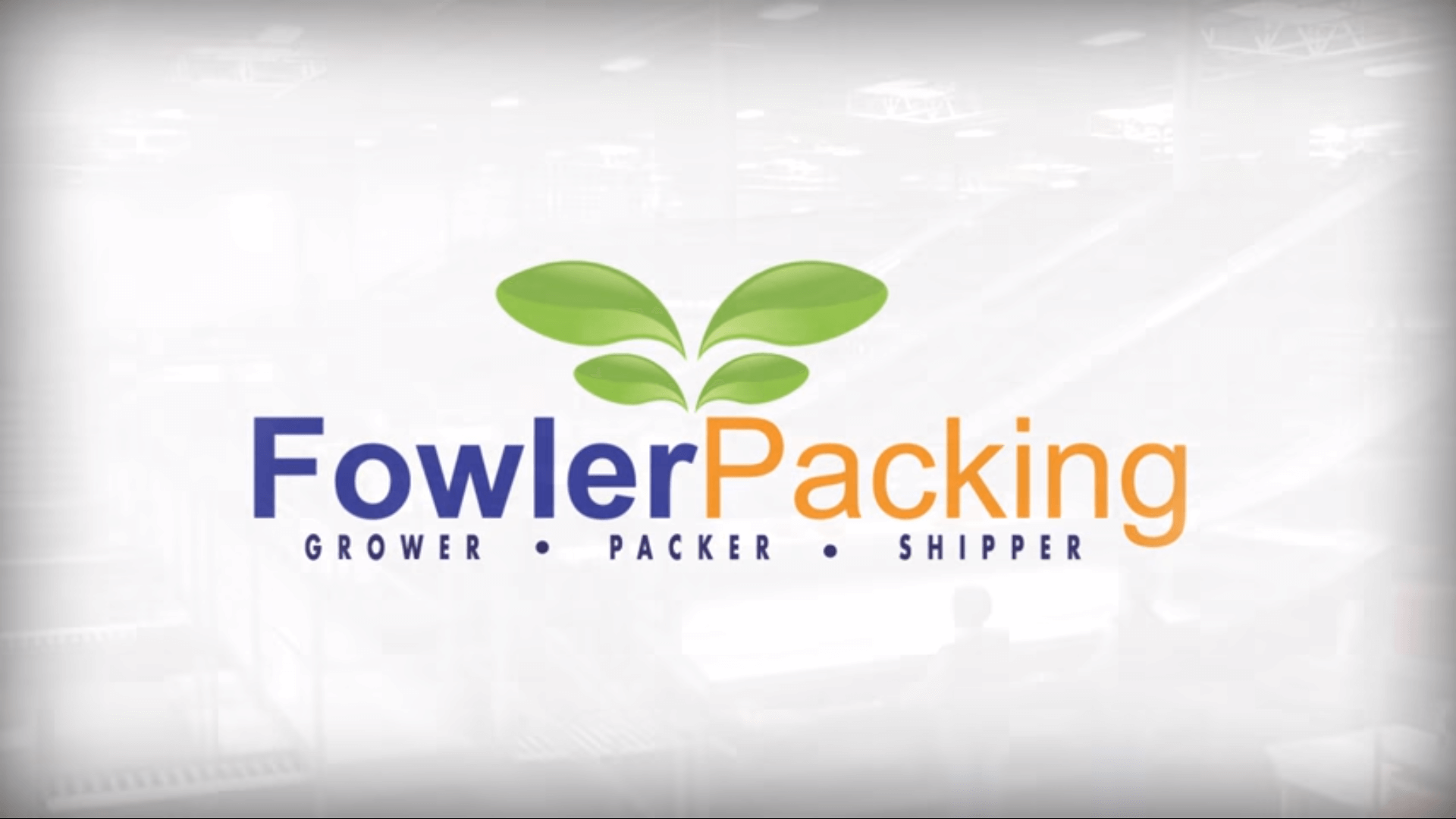 portfolio digital attic fowler packing video screenshot