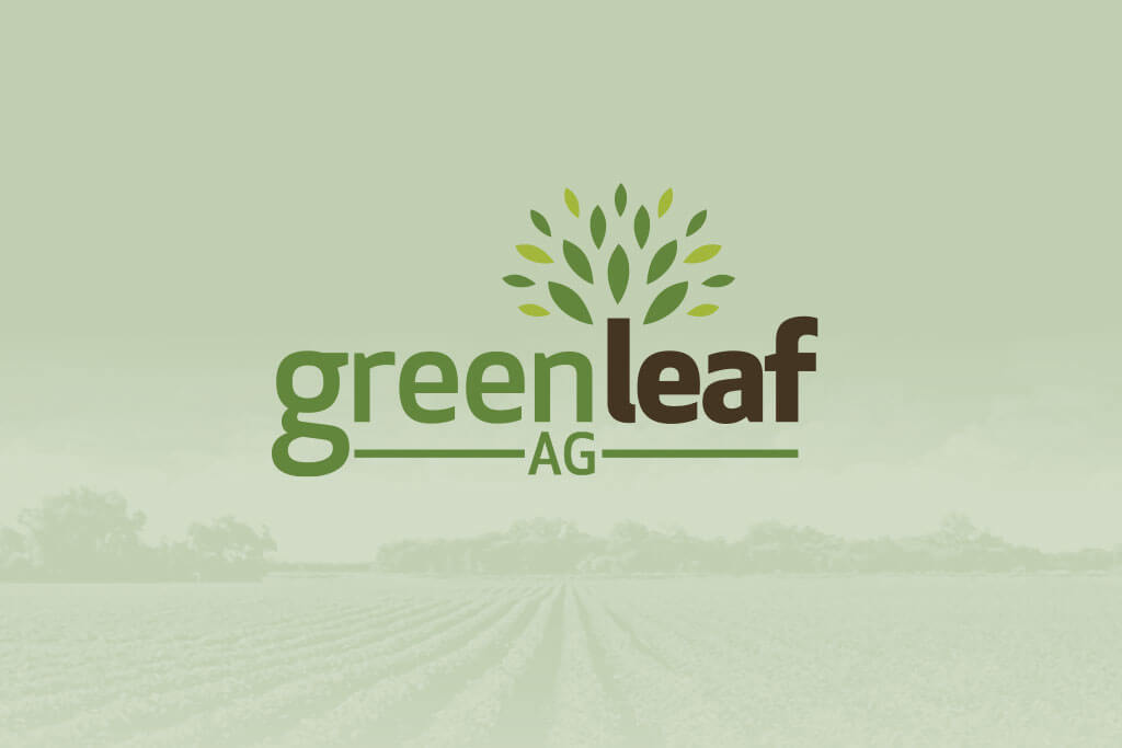 portfolio digital attic green leaf ag featured