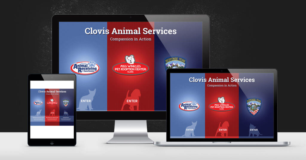 Portfolio Miss Winkles Pet Adoption Center Digital Attic Portfolio miss winkles pet adoption center digital attic