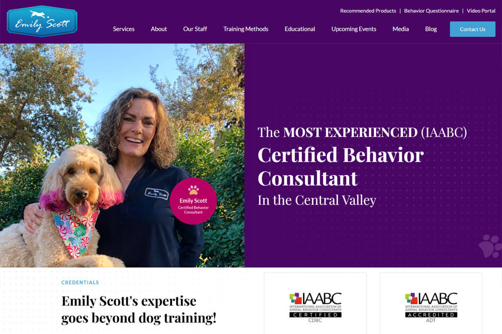 portfolio digital attic emily scott dog training featured