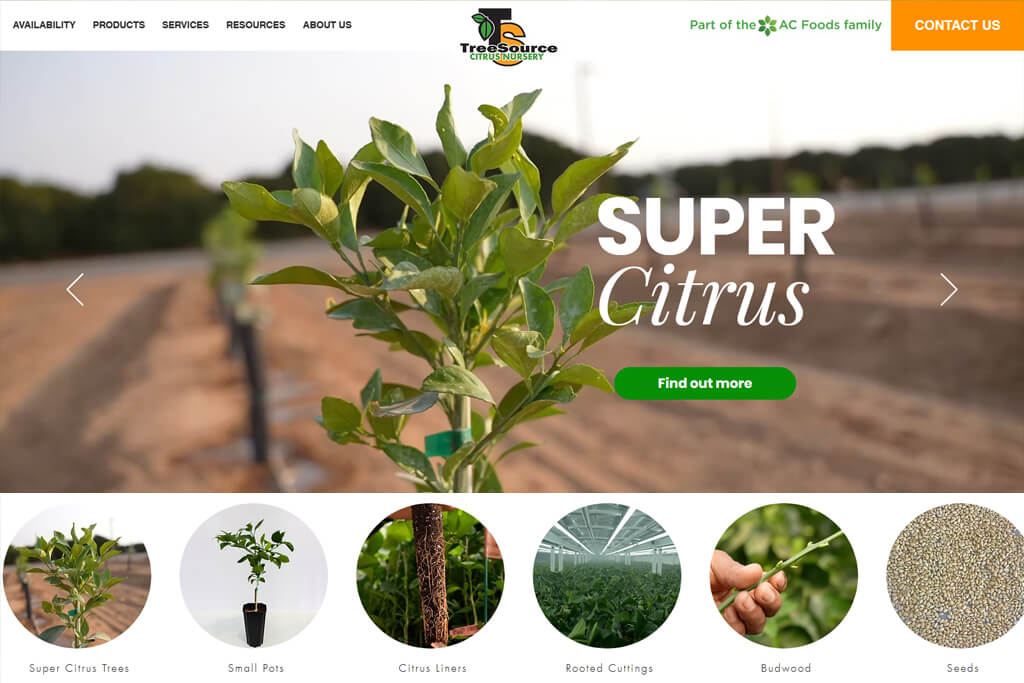 portfolio digital attic tree source citrus nursery featured