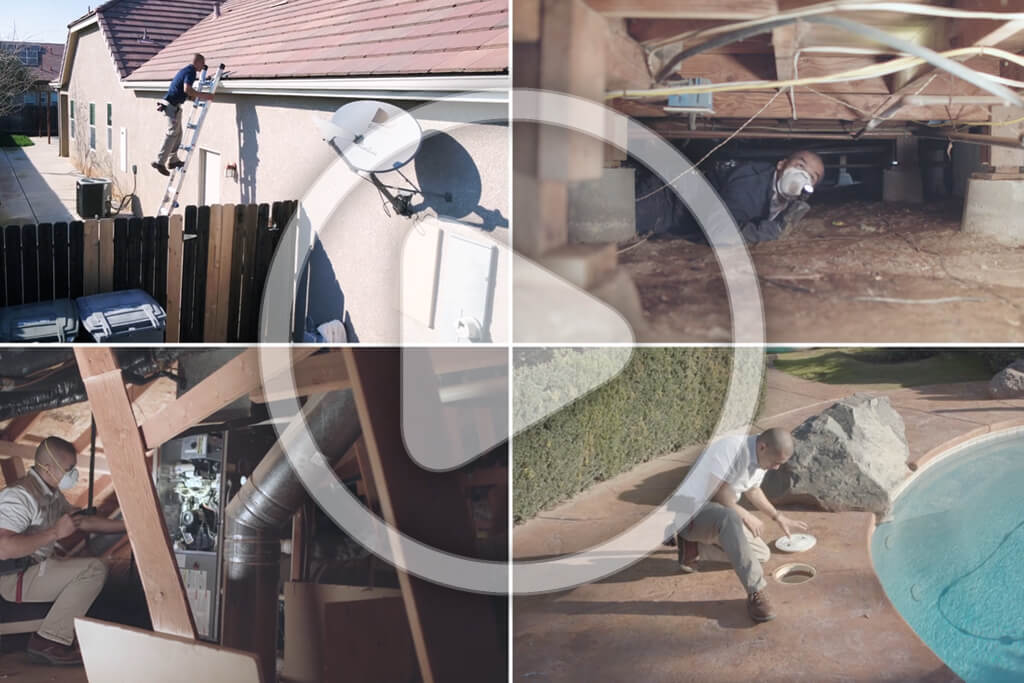portfolio digital attic blueprint home inspections video thumbnail